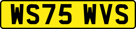 WS75WVS