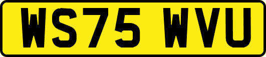 WS75WVU