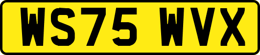 WS75WVX
