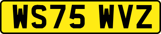 WS75WVZ