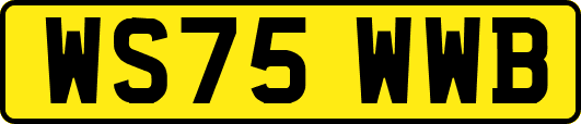 WS75WWB