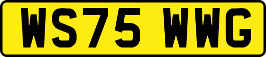 WS75WWG