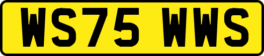 WS75WWS