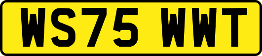 WS75WWT