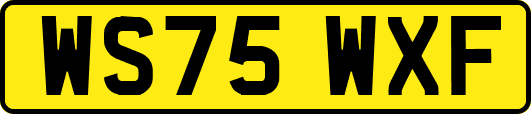 WS75WXF
