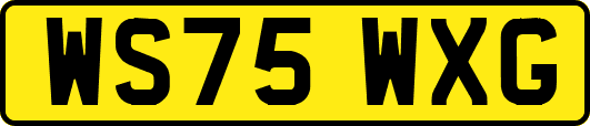 WS75WXG