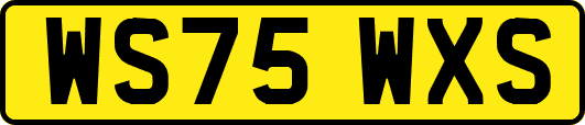 WS75WXS