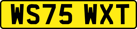 WS75WXT
