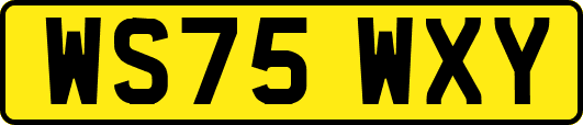 WS75WXY