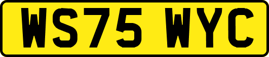 WS75WYC