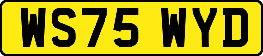 WS75WYD