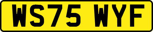 WS75WYF