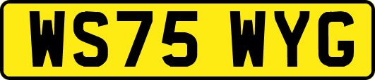 WS75WYG