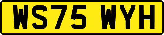 WS75WYH