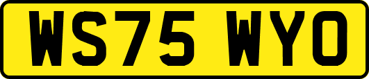 WS75WYO