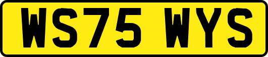 WS75WYS