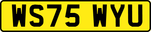 WS75WYU