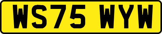 WS75WYW
