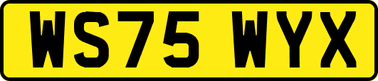WS75WYX