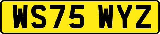 WS75WYZ
