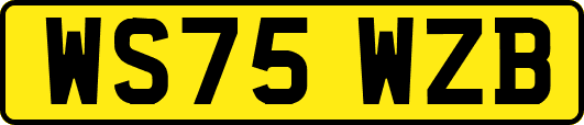 WS75WZB