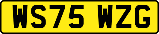 WS75WZG