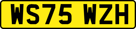 WS75WZH