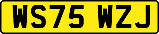 WS75WZJ