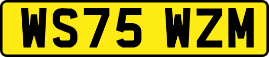 WS75WZM