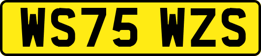 WS75WZS