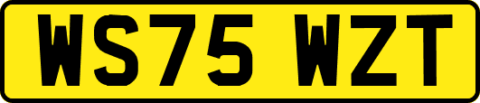 WS75WZT