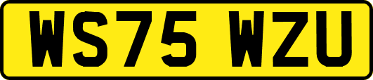 WS75WZU