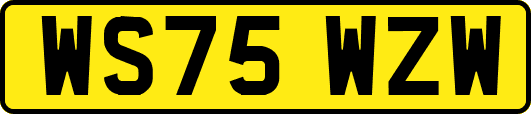 WS75WZW