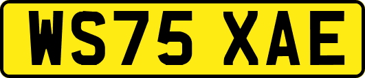 WS75XAE