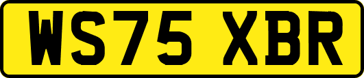 WS75XBR
