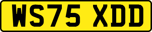 WS75XDD