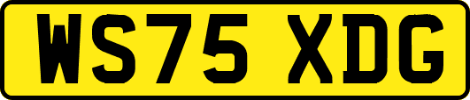 WS75XDG