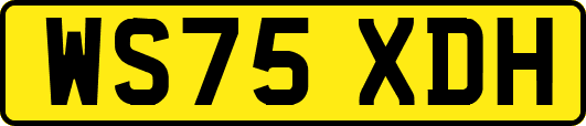WS75XDH