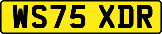 WS75XDR