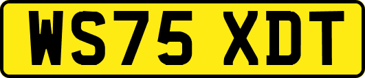 WS75XDT