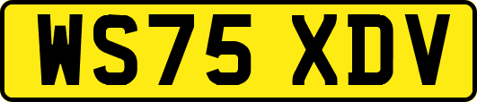 WS75XDV