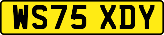 WS75XDY