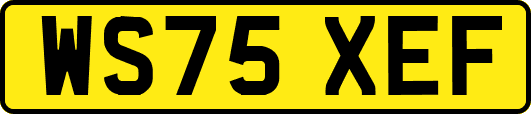 WS75XEF