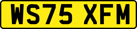 WS75XFM