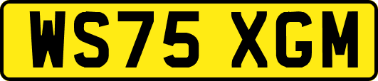 WS75XGM