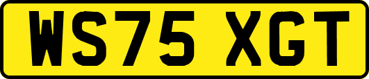 WS75XGT