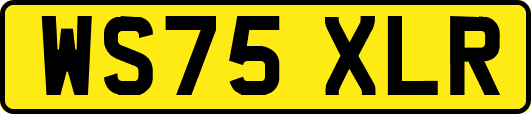 WS75XLR