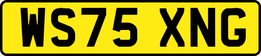 WS75XNG