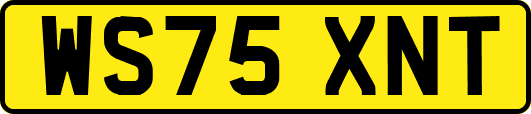 WS75XNT