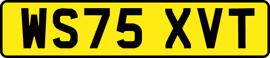 WS75XVT